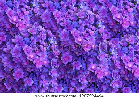 Beautiful flowers pattern background picture