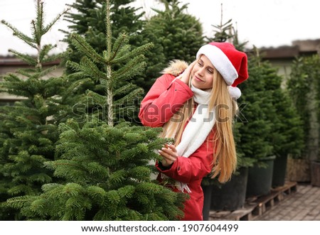 Woman choosing plants at Christmas tree market