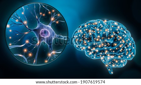 Human brain neuronal stimulation or activity with the close-up of a neuron cell 3D rendering illustration. Neuroscience, neurology, medicine, science, cognition, intelligence, psychology concepts.