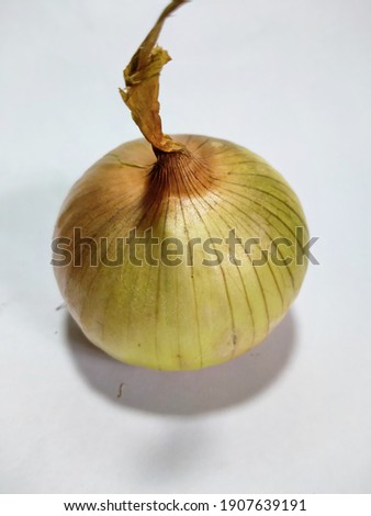 the onion pictured under the white table