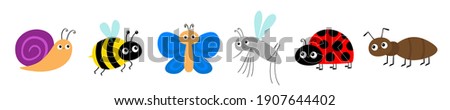 Ant, mosquito, butterfly, snail cochlea, bee bumblebee, lady bug ladybird insect icon set. Ladybug. Cute cartoon kawaii funny baby character. Happy Valentines Day. Flat design. White background Vector