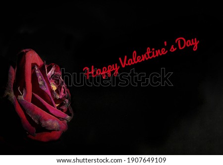 beautiful red rose photographed on a black background with the inscription "Happy Valentine's Day". The photo symbolizes love and holidays