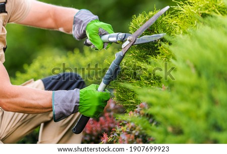 Caucasian Gardener in His 40s Trimming Plants Using Professional Commercial Grade Garden Scissors. Spring Time Backyard Garden Plants Maintenance. Royalty-Free Stock Photo #1907699923