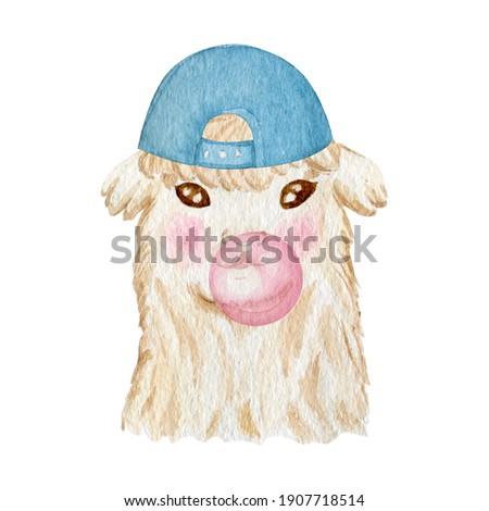 Llama portrait watercolor illustration. Cute llama wearing cap and blowing bubblegum isolated on white background.