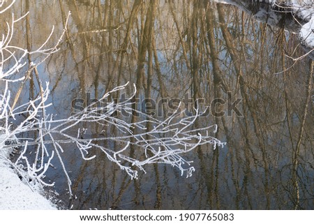 Frost covered branch on the background of the water surface of the river with reflection of trees and blue sky