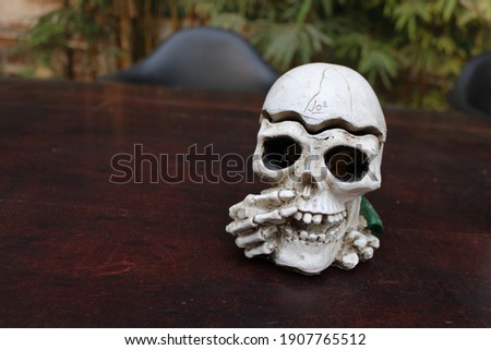 a picture of a white colored skull