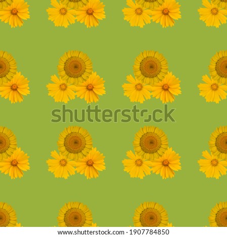 Seamless pattern flower composition, yellow colored flowers.