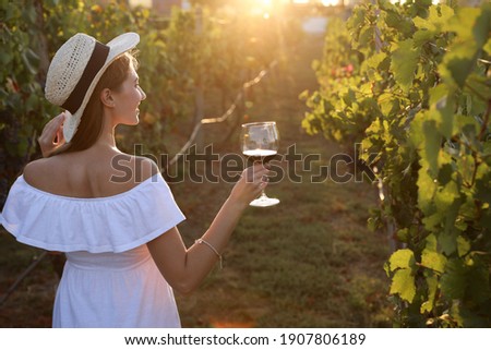 Beautiful young woman with glass of wine in vineyard on sunny day, back view