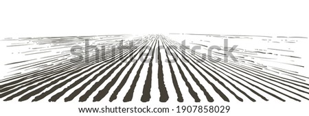 Vector farm field landscape. Pattern of plowed furrows in preparation for crops planting. Rows of soil, rural countryside perspective horizon view. Vintage realistic engraving sketch illustration. Royalty-Free Stock Photo #1907858029