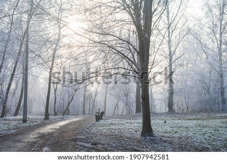 Beautiful landscape in the winter