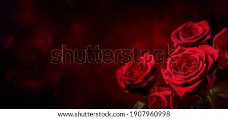 Dark red roses background. Luminous hearth shaped bokeh in the background. Valentine day or wedding concept. Symbol of the love. Copy space or empty space for text and design