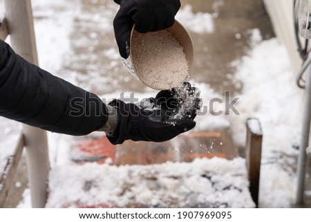 rock salt ice melt is being spread on your walkway to melt the ice and snow from your path Royalty-Free Stock Photo #1907969095
