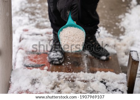 rock salt ice melt is being spread on your walkway to melt the ice and snow from your path Royalty-Free Stock Photo #1907969107