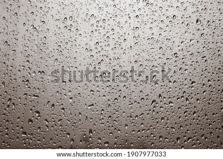 Beautiful Natural Raindrop Background Texture 