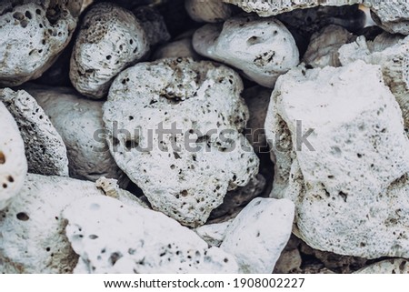 Abstract Composition Textured background. Mystic mood. Close view dry round stone shaped and formless group of sea ocean coral, white grey colour, rough surface. Ideal for web banner background design