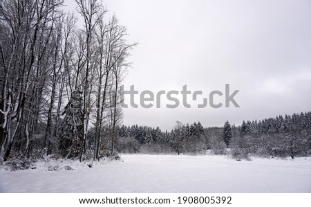 Landscape photo in winter in the Eifel - Germany under a cloudy sky, you can see snow, conifers and deciduous trees