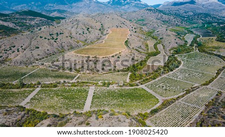 
Aerial view of the valley with vineyards in the highlands