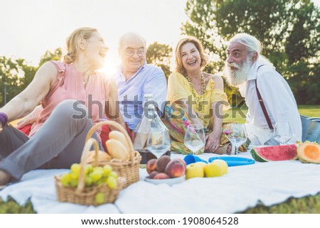 Group of seniors making a picnic at the park and having fun.