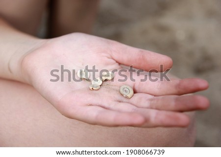 Children's hand in the sand with river shells