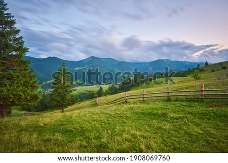 Idyllic landscape in the Alps with fresh green meadows and blooming flowers and snow-capped mountain tops in the background Royalty-Free Stock Photo #1908069760
