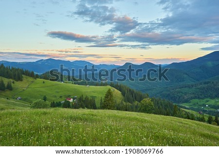 Idyllic landscape in the Alps with fresh green meadows and blooming flowers and snow-capped mountain tops in the background Royalty-Free Stock Photo #1908069766