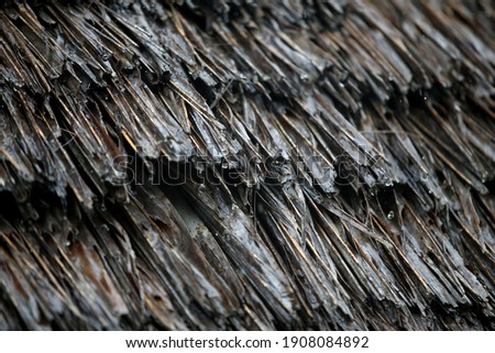 Tropical raindrops on a reed roof.
