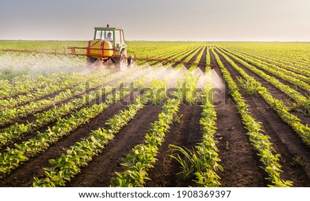 Tractor spraying pesticides on soy field  with sprayer at spring Royalty-Free Stock Photo #1908369397