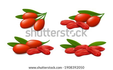 Fresh and dried goji berries with green leaves isolated on white background. Realistic vector illustration. Royalty-Free Stock Photo #1908392050