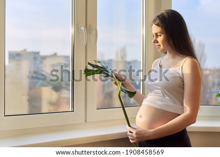 Young beautiful pregnant woman with green leaf of monstera plant at home near the window. Beauty, pregnancy, motherhood concept, copy space