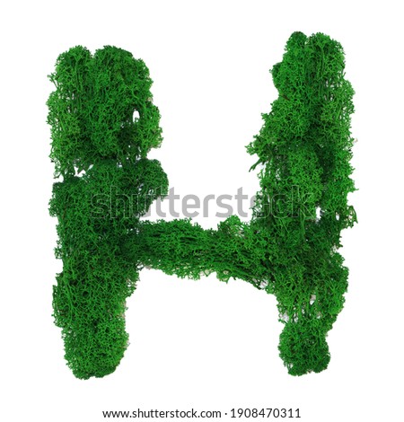 Letter H of the English alphabet made from green stabilized moss, isolated on white background.