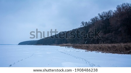 frozen lake and woody shore