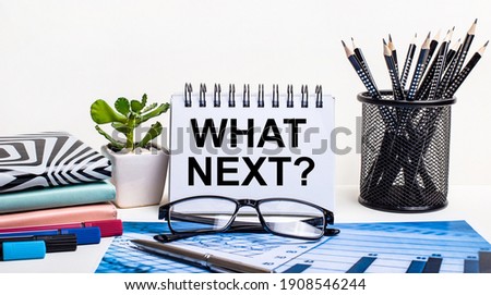 Against the background of a blue scheme and a white wall, black pencils in a stand, a flower, diaries and a notebook with the inscription WHAT NEXT