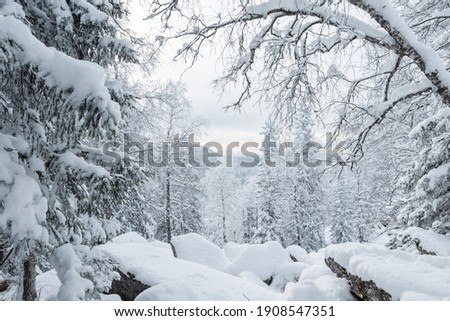 A fabulous winter forest covered with fluffy snow, drifts after a snowfall, mountains in perspective. Can be used as natural winter background, wallpaper