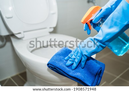 close up hands women wearing protect glove blue using liquid cleaning solution cleaning flush toilet, disinfection and hygiene concept Royalty-Free Stock Photo #1908571948
