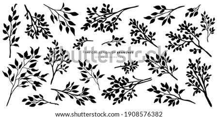 Branches sketch set. Hand drawn graphic plants. Vector illustration of different branches isolated on white background Royalty-Free Stock Photo #1908576382