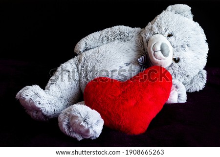 Teddy Bear ,heart Valetine day