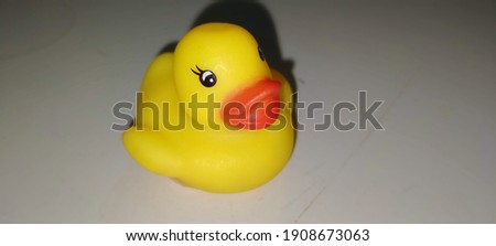The picture above is taken from a very cute little duck-shaped rubber toy with a charming yellow color
