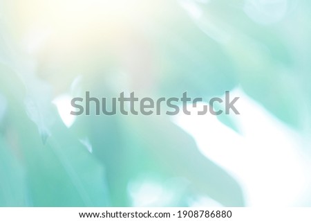 Green Leaf background. Blurred leaves and circular bokeh. Abstract for design and wallpaper.