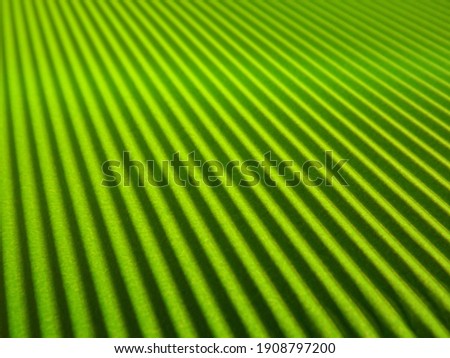 green background with longitudinal stripes as an abstraction. High quality photo