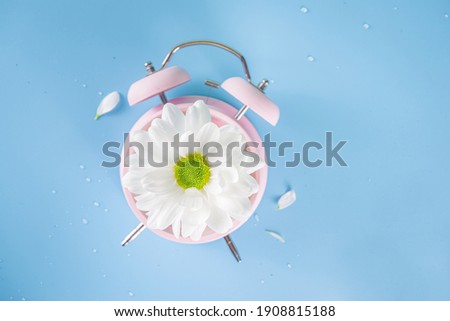 Spring Time Change flatlay. Summer back concept. Retro Vintage alarm Clock with fresh, beautiful white spring daisy flower on pastel blue background top view copy space Royalty-Free Stock Photo #1908815188