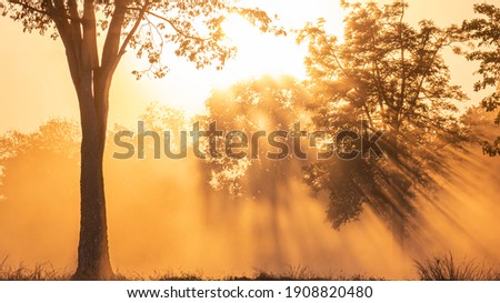 Beautiful landscape image with silhouette sunset, for greeting cards post card.