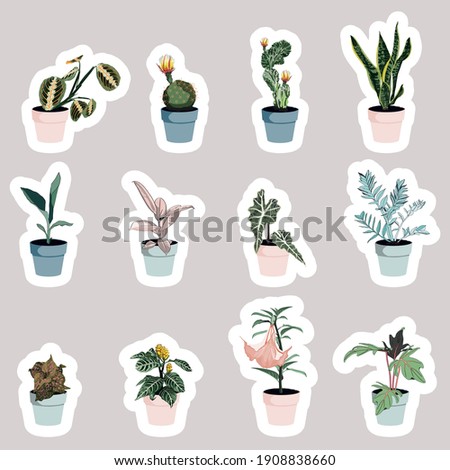 Set of cute cartoon hand drawn houseplants stickers.