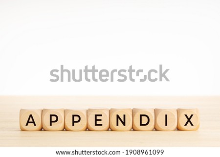 APPENDIX word on wooden blocks on wood table. Copy space. White background