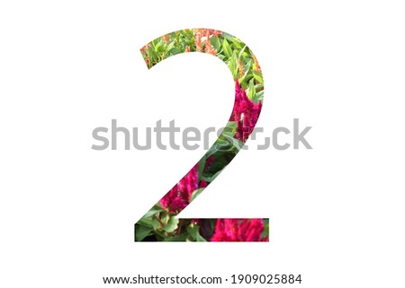 Arabic number 2 inside the number is a picture of a flower garden.