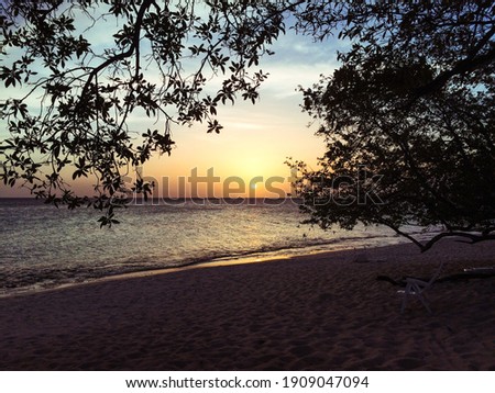 Beautiful beach sunset framed by tree branches at Playa Bahia de Las Aguilas in the Dominican Republic. Horizontal Picture