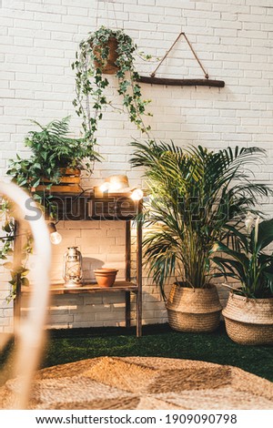 Modern terrace decorations with indoor and outdoor plants and flowers, wooden table, clay pots, seagrass baskets and rug with led lights on a white brick wall during early summer evening Royalty-Free Stock Photo #1909090798