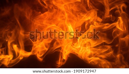 Fire texture. Blaze flames background. Abstract flames. Burning concept