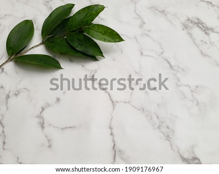 Flat lay. Fresh green leaves on textured paper for background. 