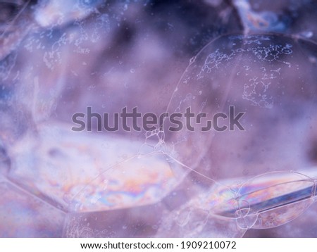 Several soap bubbles close-up view. Macro shot of soap foam with soft focus