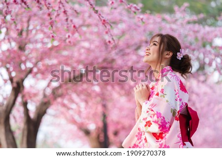woman in yukata (kimono dress) looking sakura flower or cherry blossom blooming in the garden Royalty-Free Stock Photo #1909270378